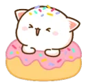 Doughnut Fun