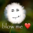 Blow
