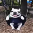 happe_gg_wfb