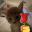 aw