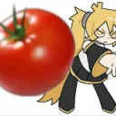 Tomateru