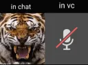 vc vs text