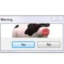 Moo