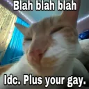 Youregay 
