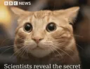 scientists reveal the secret