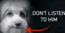 dont listen to him
