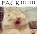 fack!!