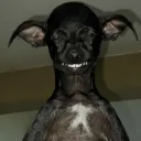 just woke up .gg/mental