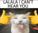 I can't hear you ragebait