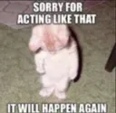 Sorry