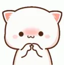 Uwu cat