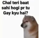 GAY
