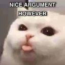 Nice argument