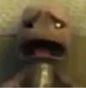 WTF