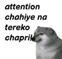 Attention_seeker