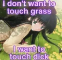 touch_dih