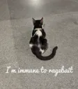 Immune to ragebait