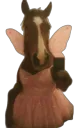 Aki