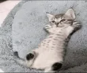 to chill