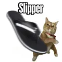 slipper