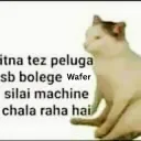 Wafer peldega