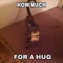 hug