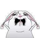 o.m_bunny
