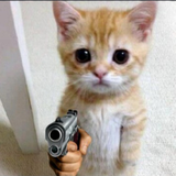 Handsup son