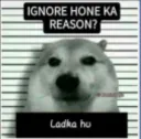 ignore ho gya
