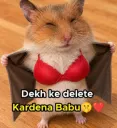 Revv dikha rha