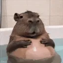 discord.gg/nunu
