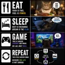 Gamer cycle 