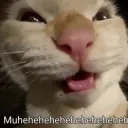 Hehe