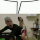 dogmete
