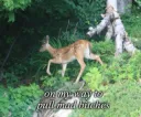 Nine