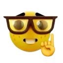 NERD