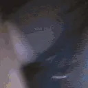 carti