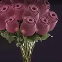 rosetoy
