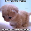 confused
