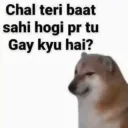 Gay