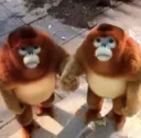 Monkeys