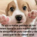 me tienes harto