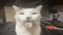 bleh