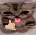 blehz