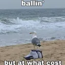 BallingAtWhatCost