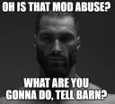 mod abuse