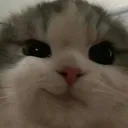 smirk