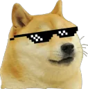 Doge