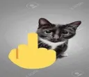 fuck_you_cat