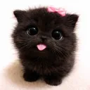 :3
